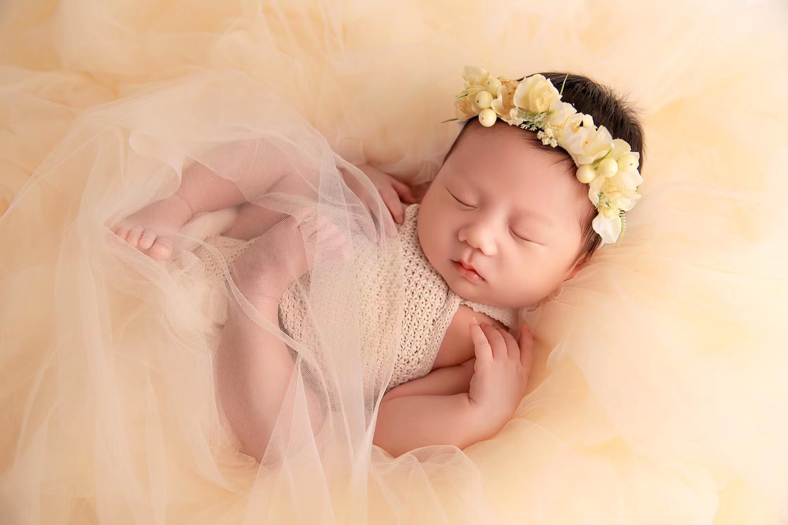 Properti Fotografi Baru Lahir  - Photography Class ulasan dan harga